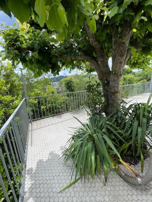 Paisible Eden Standing Terrasse - Magnifique Vue - Esprit Nature En Pleine Ville Тюль Экстерьер фото