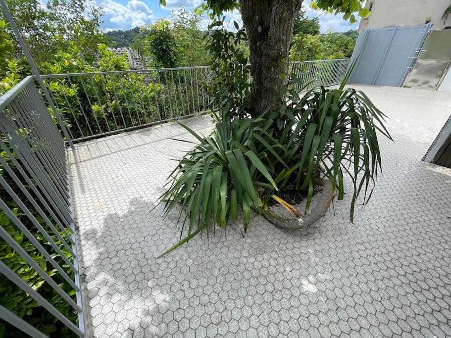 Paisible Eden Standing Terrasse - Magnifique Vue - Esprit Nature En Pleine Ville Тюль Экстерьер фото